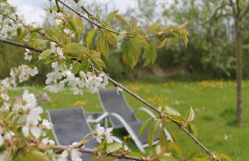 Charmante Ferienwohnung mit Garten in Wiek - Foto 39