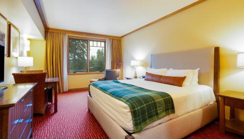 Huge 2 Connecting Rooms with Kitchen & Balcony - Foto 2