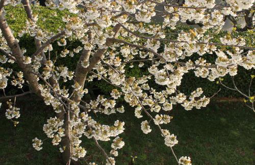 Sabina 2, Poreč - Foto 43