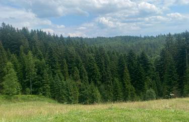 Apartament w górach Gorce - Foto 20