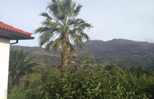 Casa Dos Cabecinhos - Foto 51