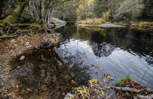 Casa Rural Aguas Frias - Foto 90