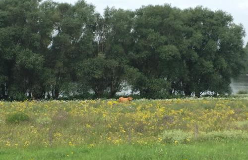 Ferienhaus Am Dombogen - BARRIEREFREI - 2 Schlafzimmer ab 3 Personen - mindestens 3 Nächte Aufenthalt - Foto 55