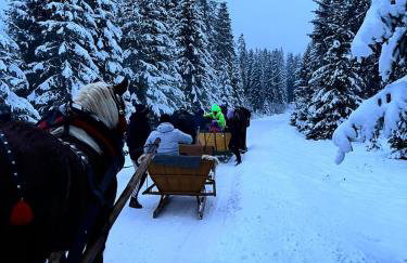 Agroturystyka Pod Modrzewiem - Babia Góra - Foto 5