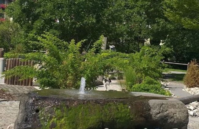 Reindler Modern Retreat - Photo 28