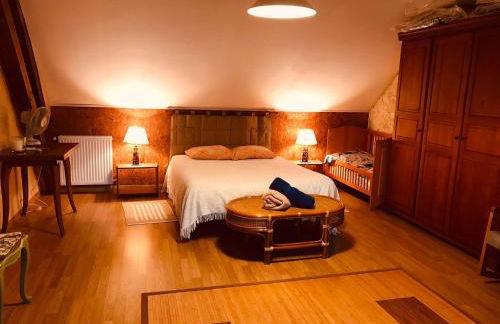 Maison familiale jardin wifi 17km Beauval - Foto 33