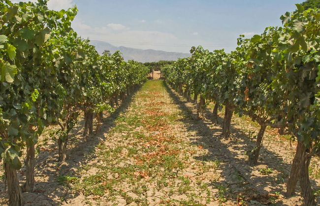 Excursión a Cascas - Foto 1