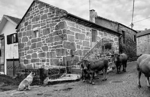 Pé na Aldeia - Foto 33