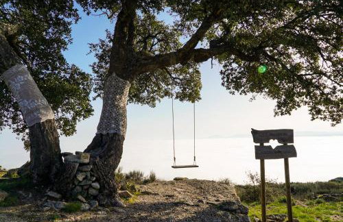 Casa Dr Ramiro Salgado - Douro Superior, Torre de Moncorvo - Foto 46