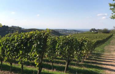 Ferienwohnung Hesselbach - Foto 25