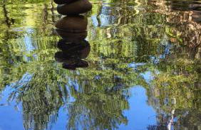 Douro Studio - Foto 15