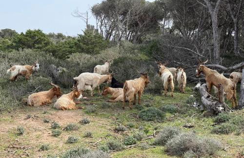 Terrazza Smeralda - Foto 43