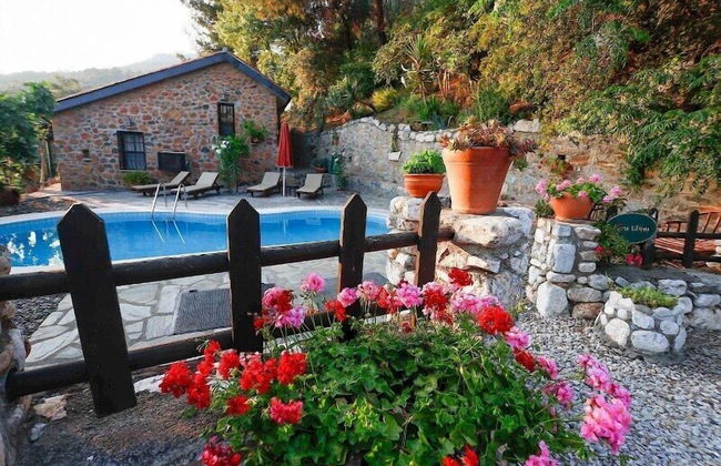 Terra Ultima - Photo 10