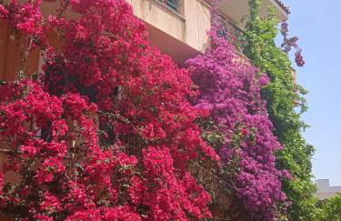 Paulina's House - Foto 9