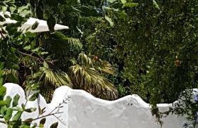 Quinta dos Cochichos – Country Houses - Foto 86