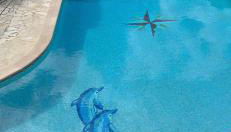 2 pièces dans villa avec piscine parking à 10 mins de Cannes - Foto 2