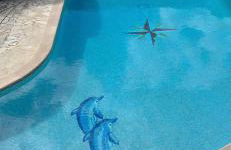 2 pièces dans villa avec piscine parking à 10 mins de Cannes - Foto 2