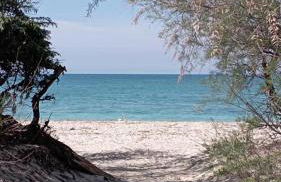 La Conchiglia sul Mare - Foto 10