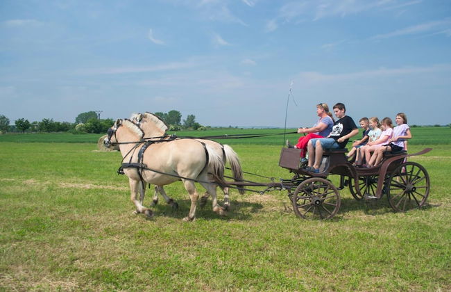 Zoopark Zelčín - Foto 44