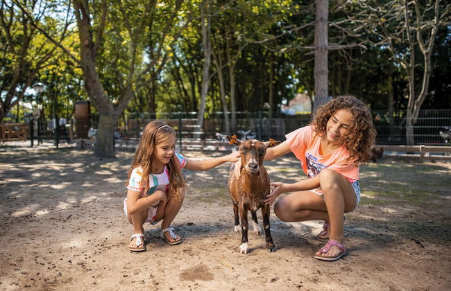 Center Parcs Park de Haan - Foto 80