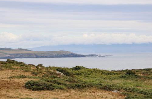 Bryn Meilw - Foto 38