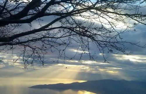 Dovas house - Foto 39