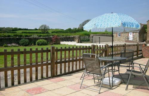 Woodpecker - Photo 11