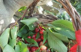 Rifugio Valentina - Foto 3