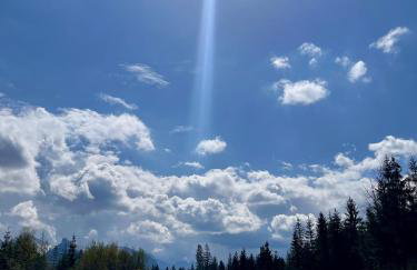 DZIUPLA - Tatra Rustic Log Cabin - Foto 30
