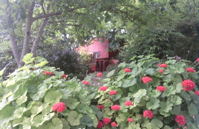 Casa Bi Rosario - Quinta Amoreira - Foto 28