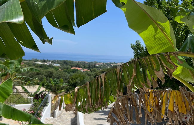 Paris use at Ratzakli - Photo 26