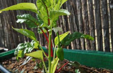 La casita Del Río. - Foto 30