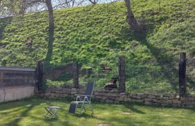 Fewo Helene im schönen Odw - Foto 40