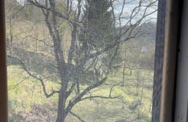 il casale di Bruno e Pina - Foto 15