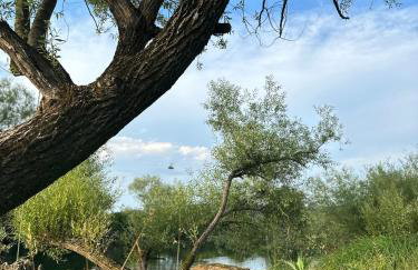 Kuća za odmor Zora - Foto 34