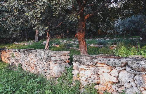 Lemon Tree Eco-Retreat - Foto 11