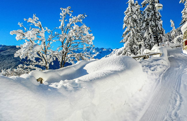 Château Lapin - Foto 18