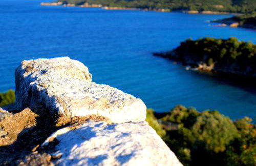 Marianni Studios - Photo 23