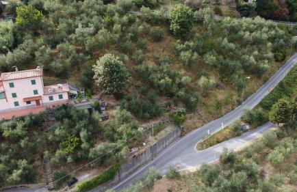 Tenuta Lombrica - Foto 31