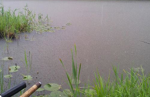 "Sielski Zakątek" - domek całoroczny - Foto 22