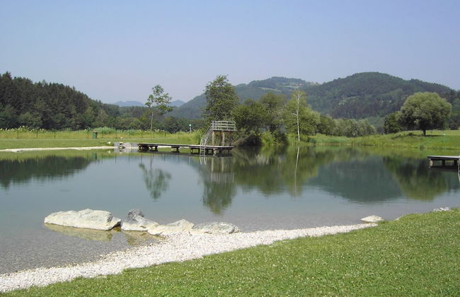 Apartment in Neuhaus Near Petzen Ski Area - Foto 28