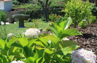 Quinta Vale do Nox - Foto 18