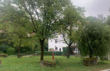 Sonnige Dachwohnung - Foto 23