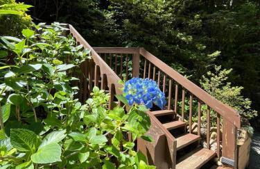 Top of the Line Asheville Mountain Cabin - Foto 68