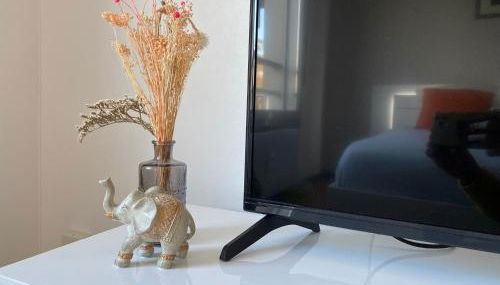 Hollywood studio en Résidence boisée Ecully - Foto 4