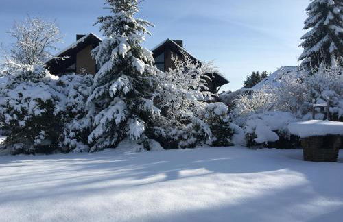 Alt Monjoie - Foto 24