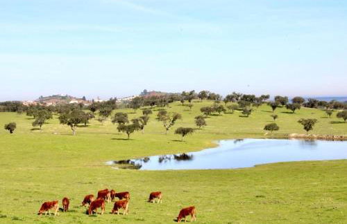 Herdade da Boavista - Foto 54