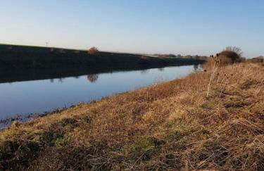 Amazingly quiet and peaceful studio getaway. - Foto 20