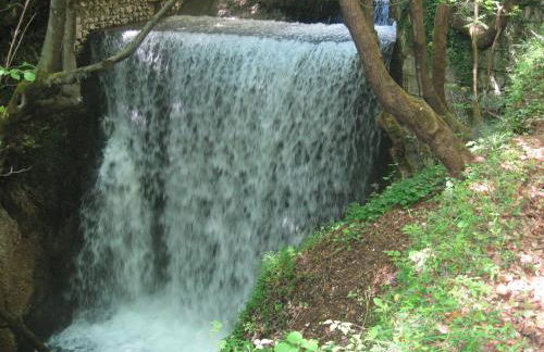 Parco Sogni d'Oro - Photo 55