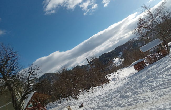 Room in Guest Room - Cozy Rural Retreat in Roşia Montana - Photo 42